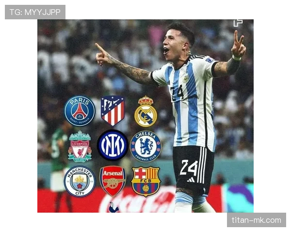 阿根廷国家队主力:恩佐的国家队地位 阿根廷国家队主力:恩佐的国家队地位